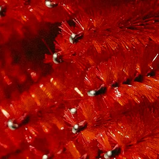 Monthly Lash Membership at Reyna’s Beauty Palace in San Leandro, CA